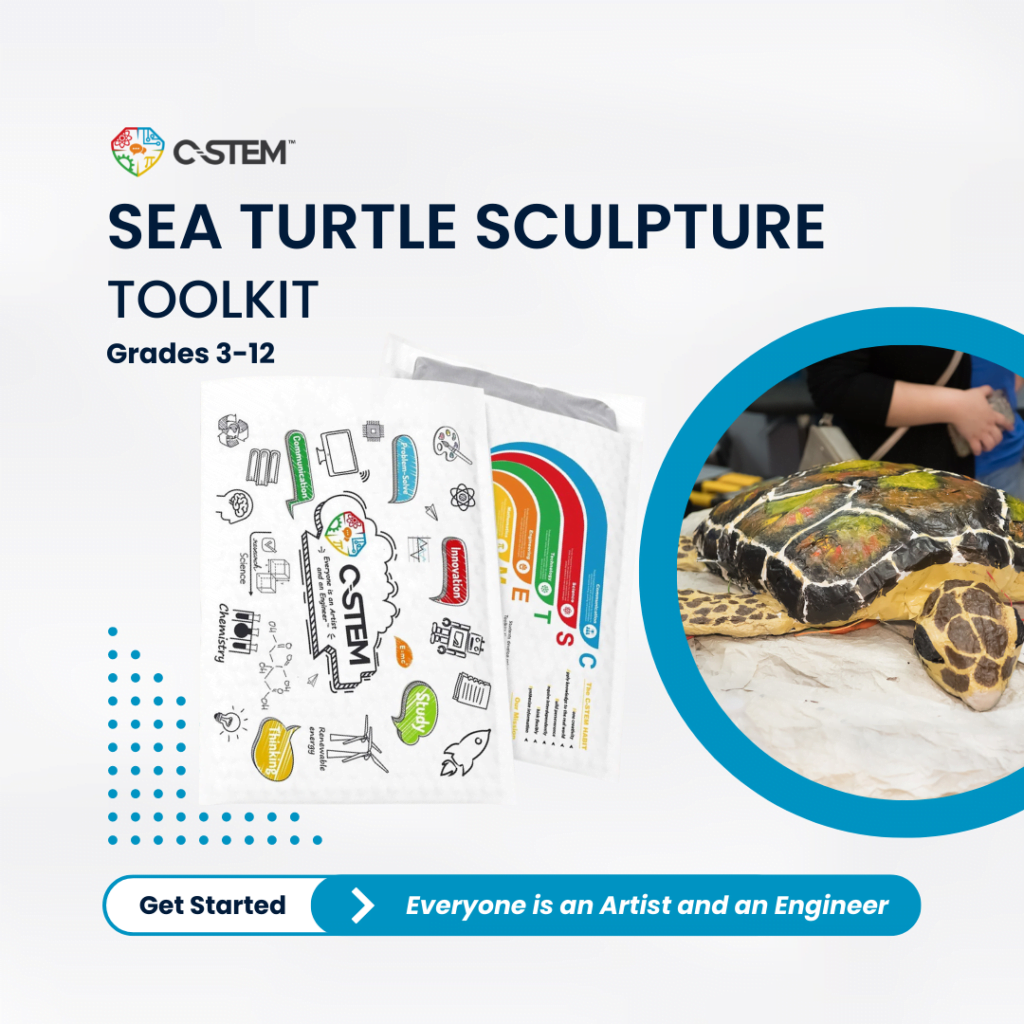 Sea Turtle Sculpture Toolkit: Grades 3-12 C-STEM project for artists and engineers.