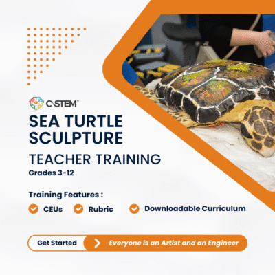Sea Turtle Sculpture Challenge Teacher Training